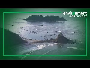 PNW waters acidifying faster than rest of world's oceans, UW study finds