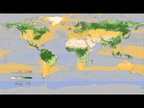 Watching Earth Breathe