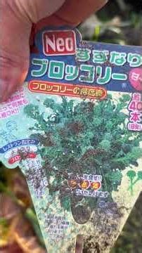 ブロッコリーの栽培 Part5