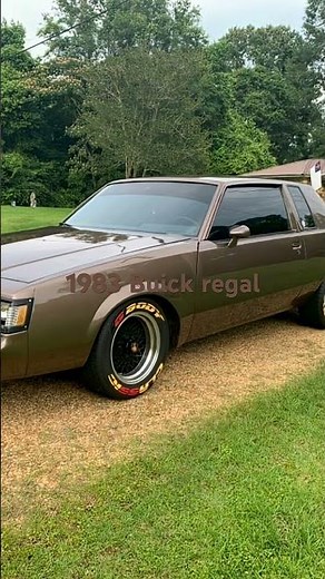 1983 Buick regal