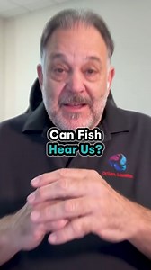 9.1K views · 131 reactions | Can Fish Hear Us? Fish can sense sound through vibrations in the water. Studies show that different sounds affect their behavior. When exposed to soft music, fish reproduced more than when exposed to loud music. Sound in their environment really does matter. Follow for more fascinating insights on how music affects fish behavior! #FishHearing #AquaticStudies #DrTimsAquatics | DrTims Aquatics | Facebook