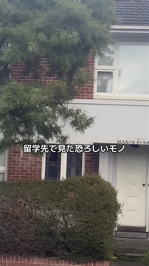 留学先で衝撃！デート中の衝撃体験