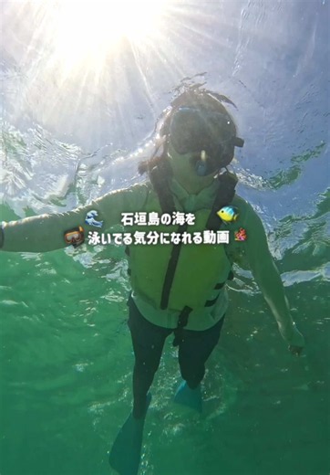 #ASMR 沖縄の魚になれる動画🐠🫧 #環境音 #石垣島 #沖縄
