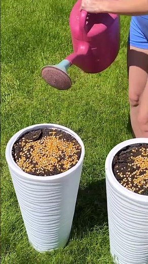 Effortless garden hacks that actually work 🪴✅#5MinuteBeat