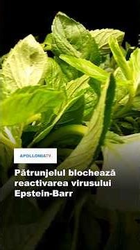 Pătrunjelul blochează reactivarea virusului Epstein Barr