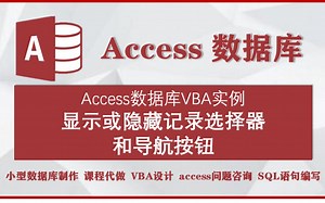 accesss数据库VBA实例：显示或隐藏记录选择器和导航按钮
