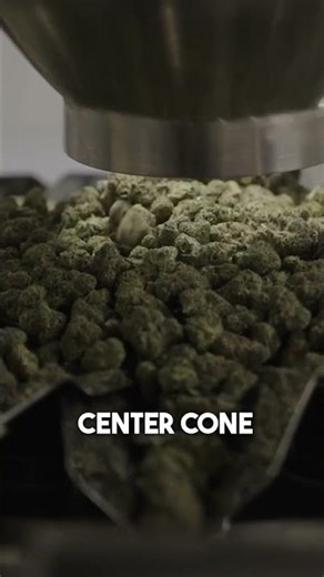 Swifty Bagger Automation | Scalable, Consistent & Efficient Pouch Filling