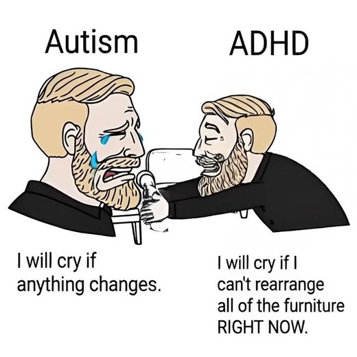 Autism Vs. ADHD #adhd #adhdautistic #adhdawareness #adhders #adhdfamily #adhdhumor #shortsfeed
