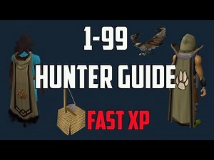 Runescape 3 - 1-99 Hunter guide | Up to 800k experience an hour