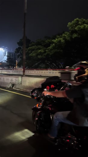 Exploring the Freedom of the Open Road on a Harley