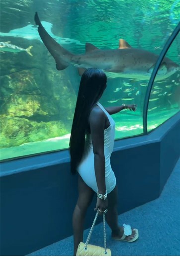 Aquarium Therapy: A Calming Underwater Escape