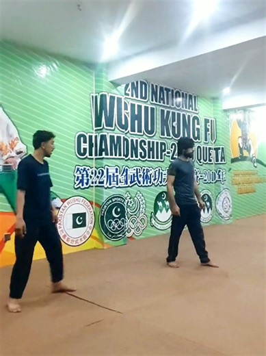 Master the Backflips Challenge with Boxing and Wushu Skills