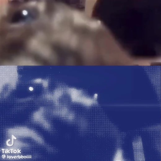 #FunkNoCapCut #Funk