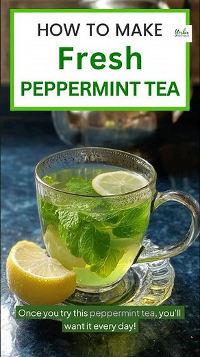 How to Make FRESH Peppermint Tea at Home | Refreshing & Easy