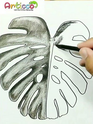 DRAWING MONSTERA LEAF