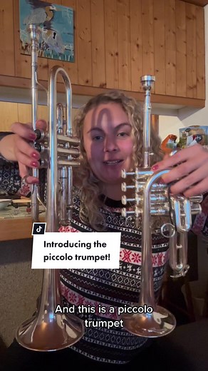 Introducing: the piccolo trumpet 🎺 #day8 #100daysofpractice #trumpetok #musictoo #trumpet #piccolo