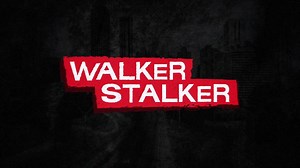 1.2K views · 12 reactions | Walker Stalker on Reels | Facebook