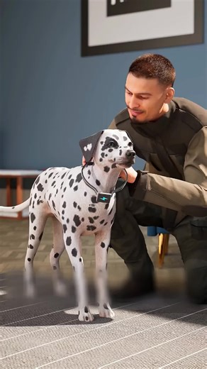 Be Kind to Animals: Essential Care Tips
