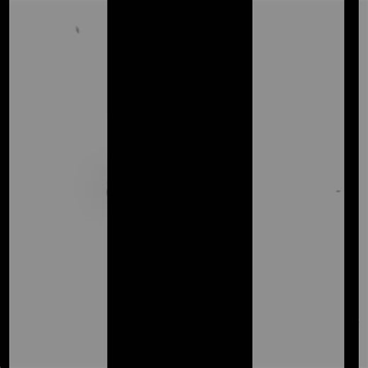 Explore Ralph Macchio's Career Highlights