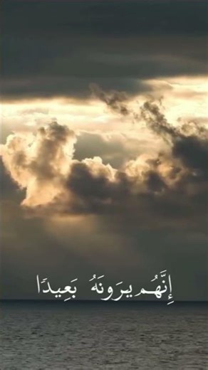 #قران_كريم #المصحف #قرآن #تلاوة_خاشعة