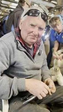 Kevin's Crash Course In Livestock Management #lambmarking #lamb #livestock #agriculture