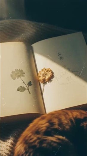 The grass that grew from Gemini🌱