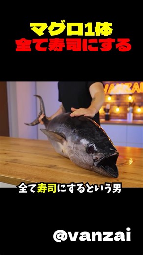 【検証】マグロ1体で寿司はどれぐらいできるのか。