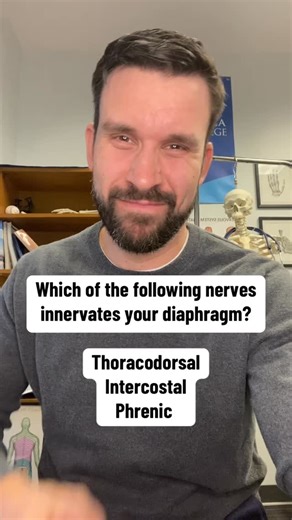AnP Professor on Instagram: "How’d you do?? . . . #medicalstudent #nursingschool #anatomy #stemeducation #dptstudent #humanbody #healthcareworkers #physicaltherapist #physicaltherapy"