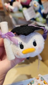 Hong Kong Disneyland understands the assignment when it comes to celebrating graduates! Look at all these graduation plushies! 🎓 #hongkongdisneyland #disneyplush #graduation | The Disney Fashionista