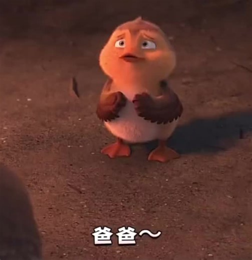 #要开心鸭 #鸭鸭 #可爱鸭 #开心就好