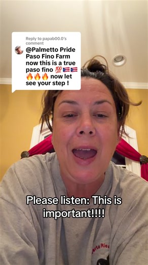 Why is Pure Puerto Rican horse not being recognized as its own distinct and special breed? (And I do recognize my southern accent butchered the word Ponce🤦‍♀️)#palmettopridepasofinofarm #pasofino #horselife #horselover #gaitedhorse #horse #puertorican #paso | Palmetto Pride Paso Fino Farm