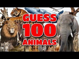 Can you Guess 100 Animals by the Photo? | Animal Quiz