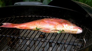 Der Griller: Köstlichen Red Snapper zubereiten