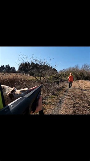 【狩猟】仲間と鳩の索敵