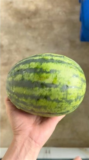 Experiment: Will a watermelon explode if it rolls down from a tall building?
