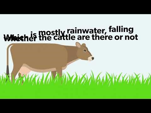 Understanding the 'water footprint' of beef