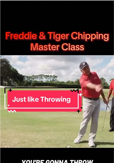 Freddie & Tiger Chipping Master Class #golftips #golfswing #magswinggolf #golfchipping