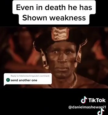 Shaka the Zulu: Legacy and Succession Explored