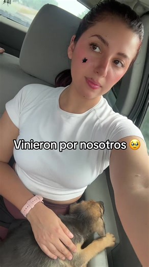 Me dio miedo que lo atropllaran 🥺 #perrito | perrito