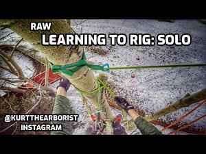 ARBORIST TREE CLIMBER with SOLO TOP RIG | Lessons learned - Talk-through