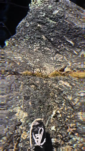 deathpilotspoof🐇 (@deathpilotspoof)’s videos with SPEED IS LIFE - lykia