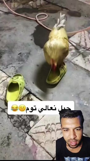 17K views · 75 reactions | سيمو semo on Reels | Facebook