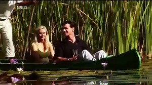 Wild Extreme Animal Attacks [Nature Documentary] - Dailymotion Video