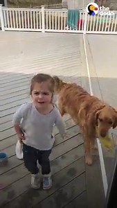 Dog waits for his sister's school bus every day and carries her backpack all the way home 💕 | The Dodo