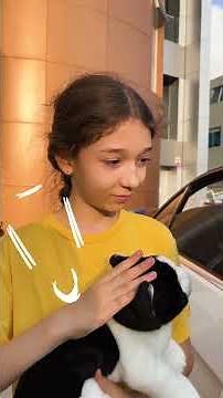 Careful, Cat🫣🐱 Learning how to behave properly in the Car 🚗