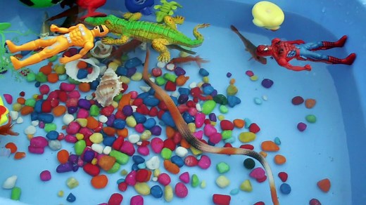 Collection of Various Fishes in bucket. Fish video