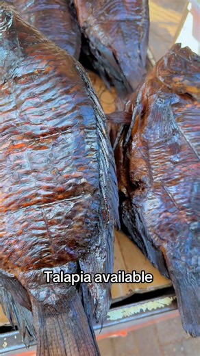 Tilapia bela availability near me