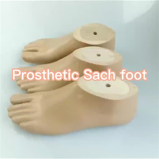 Medical High Quality Polyurethane Sach Foot for Prosthetics