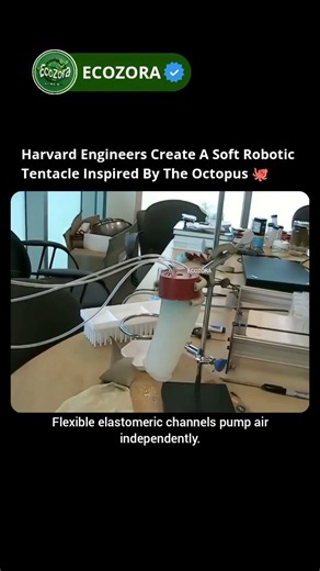 This Robot Tentacle Can Lift Flowers Without Crushing Them 🐙 #softrobotics #tech #innovation #viral