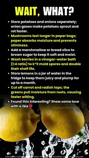 6 Food Storage Hacks That Actually Work